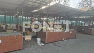 Zaplenjena hrana na pijacama